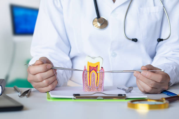 Best Emergency Treatment for Toothache in Leupp, AZ
